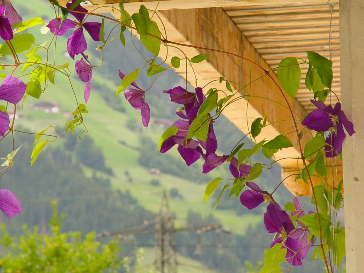 Appartement Birgla Ramsau im Zillertal Exterior foto